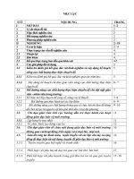 MỘT SỐ BI ỆN PH ÁP NÂNG CAO CHẤT LƯỢNG THỰC HIỆN CHUYÊN ĐỀ GIÁO DỤC B ẢO VỆ MÔ I TRƯỜNG TRONG TRƯỜNG MẦM NON NGA LĨNH