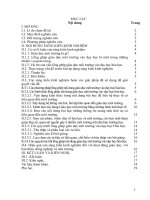 Tích hợp nội dung giáo dục môi trường vào dạy học Hóa học ở trường THCS