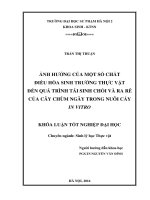Ảnh hưởng của một số chất điều hòa sinh trưởng thực vật đến quá trình tái sinh chồi và ra rễ của cây chùm ngây trong nuôi cấy invitro 