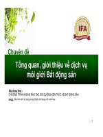 Chuyen de   tong quan, gioi thieu ve dich vu moi gioi bat dong san   new 