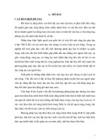 Lich su THCS   nguyen dinh dung   THCS nguyet an   ngoc lac