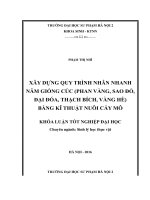 Xây dựng quy trình nhân nhanh năm giống cúc (phan vàng, sao đỏ, đại đóa, thạch bích, vàng hè) bằng kĩ thuật nuôi cấy mô