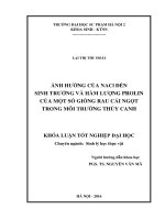 Ảnh hưởng của nacl đến sinh trưởng và hàm lượng prolin của một số giống rau cải ngọt trong môi trường thủy canh 