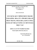 Xây dựng quy trình nhân nhanh năm giống hoa cúc (tím huế, phan trắng, pha lê, pháo hoa, kim cương) bằng kỹ thuật nuôi cấy tế bào thực vật 