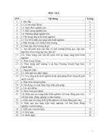 Kinh nghiệm vận dụng kiến thức liên môn trong dạy học Địa lí 7 nhằm nâng cao ý thức bảo vệ môi trường cho học sinh trường THCS