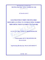 Giải pháp phát triển thương hiệu phân bón lá công ty cổ phần nông nghiệp Miền đồng Thảo tại miền Tây Nam Bộ