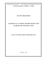 Tạo động lực lao động cho điều dưỡng viên tại bệnh viện Nhi Trung ương (LV thạc sĩ)
