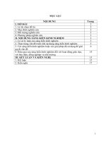 Am nhac THCS   pham thi an   THCS nguyet an   ngoc lac