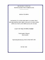 luận văn thạc sỹ: Ảnh hưởng của lượng phân bón n, p, k khác nhau đến sinh trưởng, phát triển, năng suất và chất lượng giống lúa n46 vụ xuân 2008 tại gia lâm   hà nội
