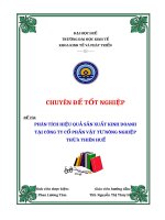 Phân tích hiệu quả sản xuất kinh doanh tại công ty cổ phần vật tư nông nghiệp thừa thiên huế