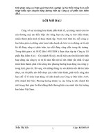 Giải pháp nâng cao hiệu quả khai thác nghiệp vụ bảo hiểm hàng hóa xuất nhập khẩu vận chuyển bằng đường biển tại Công ty cổ phần bảo hiểm AAA