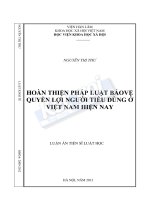 Hoàn thiện pháp luật bảo vệ quyền lợi người tiêu dùng ở Việt Nam hiện nay