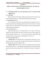 THỰC TRẠNG CÔNG tác kế TOÁN NGUYÊN LIỆU, vật LIỆU tại CÔNG TY cổ PHẦN tư vấn THIẾT kế xây DỰNG đô THỊ và hạ TẦNG hà nội 