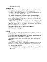 Tuyển dụng giám đốc Marketing mẫu