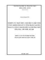 Nghiên cứu nhận thức, thái độ về sức khỏe sinh sản và tình trạng nạo phá thai lứa tuổi vị thành niên tại trường THPT yên lãng   mê linh   hà nội 