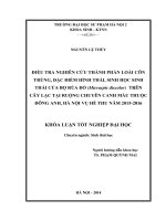 Điều tra, nghiên cứu thành phần loài côn trùng, đặc điểm hình thái, sinh học sinh thái của loài bọ rùa đỏ (micraspis discolor) trên cây lạc vụ hè thu năm 2015 2016, tại ruộng chuyên canh mầu thuộc đông anh, hà nội 