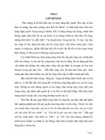 tiểu luận tình huống cuối khóa chương trình chuyên viên