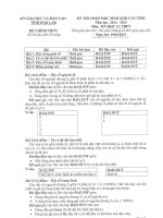 ĐỀ THI HSG TỈNH THPT môn TIN học (1) 