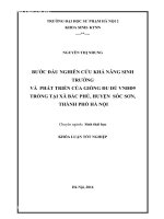 Bước đầu nghiên cứu khả năng sinh trưởng và phát triển của giống đu đủ VNĐĐ9 trồng tại xã Bắc Phú, huyện Sóc Sơn, thành phố Hà Nội