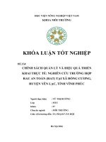 Chinh Sách Quản Lý Và Hiệu Quả Triển Khai Thực Tế Nghiên Cứu Trường Hợp Rau An Toàn (RAT) Tại Tỉnh Vĩnh Phúc