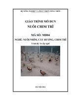 GIÁO TRÌNH MÔ ĐUN NUÔI CHIM TRĨ