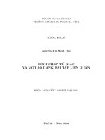 Hình chóp tứ giác và một số dạng bài tập liên quan 