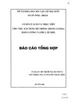 Cơ sở lý luận và thực tiễn cho việc xây dựng hệ thống thang lương, bảng lương và phụ cấp mới
