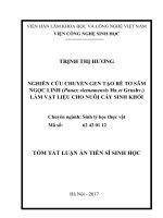 Nghiên cứu chuyển gen tạo rễ tơ sâm ngọc linh (panax vietnamensis ha et grushv ) làm vật liệu cho nuôi cấy sinh khối 