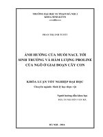 Ảnh hưởng của muối nacl tới sinh trưởng và hàm lượng proline của ngô ở giai đoạn cây con 