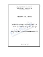 Phân tích tình hình tài chính tại Công ty Cổ phần Rượu Bia Đà Lạt