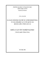 Nghiên cứu đa dạng sinh học bộ phù du (ephemeroptera) ở á đai 300 600m tại vườn quốc gia hoàng liên, tỉnh lào cai 