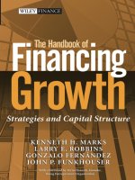 The hanbook of financing growth strategies and capital structure 