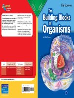 5 3 the building blocks of organisms (life sciences)