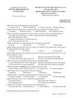 ĐỀ THI THỬ THPT QG lần 1 sử 10 mã đề 132 (1) 