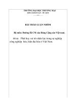 Phát huy vai trò nhân lực trong sự nghiệp công nghiệp  hóa, hiện đại hóa ở Việt Nam.