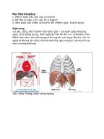 Mục tiêu bài giảng cơ hoành