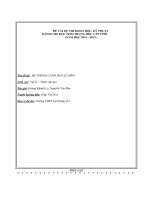 Đề  tài dự thi khoa học kĩ thuật dành cho học sinh THPT Hệ thống cảnh báo lũ sớm