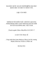 Nhóm di tích Hòn Ngò - Núi Hứa (Quảng Ninh) trong bối cảnh thời đại đá mới duyên hải Đông Bắc Việt Nam