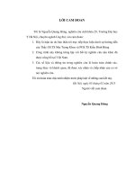 Nghiên cứu hiệu quả điều trị u thân não bằng phương pháp xạ phẫu dao gamma quay tại Bệnh viện Bạch Mai