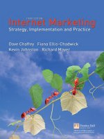 Internet Marketing Strategy Implementation and Practice