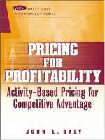 Princing for profitablity activity based pricing for competitive advantage 