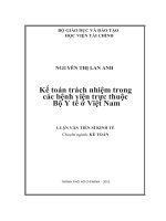 Luận văn kinh tế: Kế toán trách nhiệm trong các bệnh viện trực thuộc bộ y tế ở Việt Nam