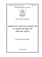 Nghiên cứu nuôi tạo tấm biểu mô từ tế bào gốc biểu mô niêm mạc miệng