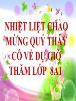 Giáo án hình học 8, bài hình vuông