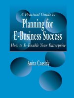 Planning for ebusiness success 