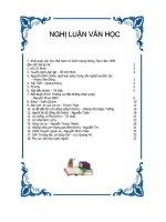 Tài liệu ôn thi Tốt nghiệp Nghị luận văn học 12