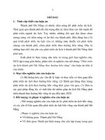 Phát triển du lịch thành phố đà nẵng theo hướng bền vững (tt)