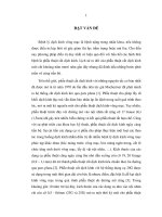 Nghiên cứu ứng dụng kỹ thuật cắt dịch kính không khâu trong điều trị một số bệnh lý dịch kính võng mạc