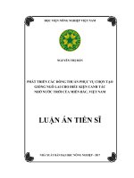 Phát triển các dòng thuần phục vụ chọn giống ngô lai cho điều kiện canh tác nhờ nước trời của miền Bắc, Việt Nam (LA tiến sĩ)