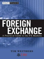 Foreign exchange a practical guide to the FX markets 